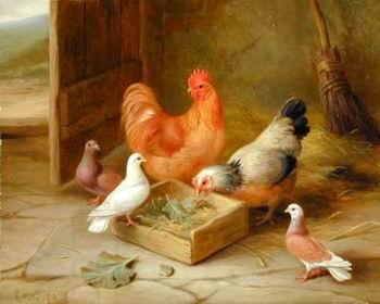 unknow artist poultry  141 China oil painting art